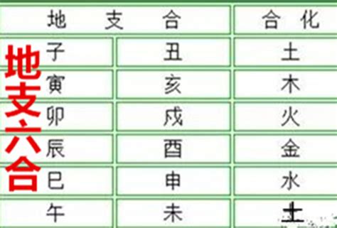 八字合化|八字基础——合化